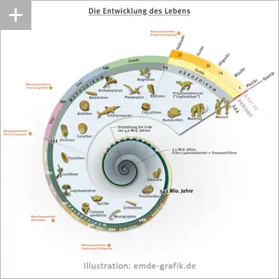 Wissenschaftliche Illustration: Entwicklung des Lebens