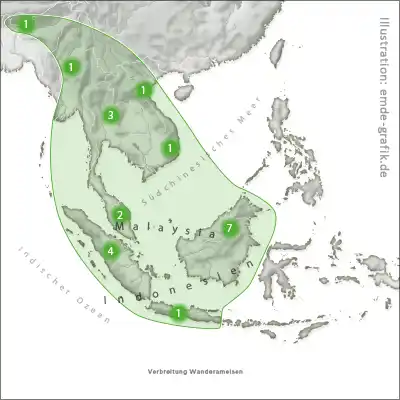 Geografische Karte Verbreitungsgebiete Wanderameisen Südostasien