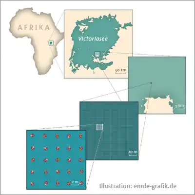 Illustration Mathematik: Veranschaulichung von Maßstäben