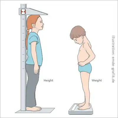 Illustrations for brochure about growth and growth disorders: Height and weight measurement for children