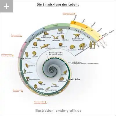 Geoscientific illustration: Evolution of life