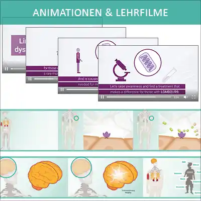 Illustration und Animation von Schulungsfilmen und Lehrfilmen