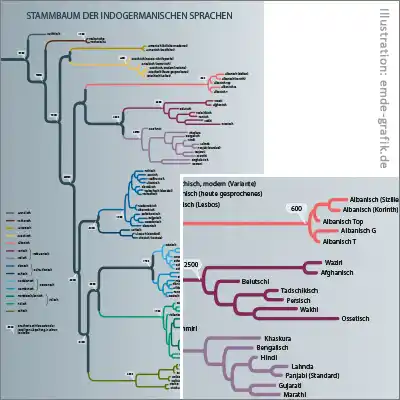 Scientific illustration linguistic research: lineage of the indogermanic languages