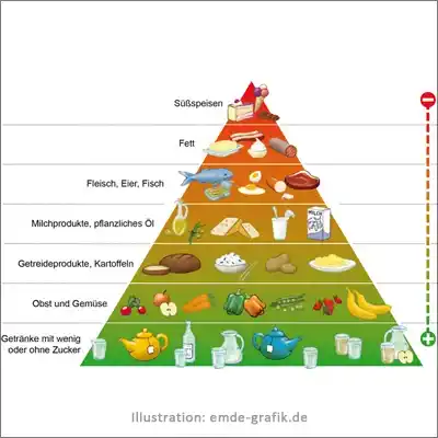Illustration for a schoolbook biology: Food pyramid