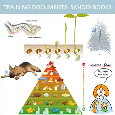 Knowledge comprehensible for any age in textbooks, training documents and presentations