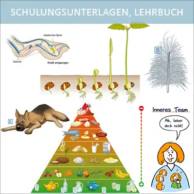 Illustrationen für Schulungsunterlagen und Lehrbücher