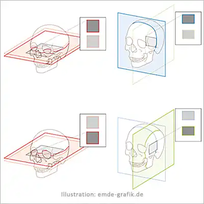 Sections through human skull: Illustrations for a manual