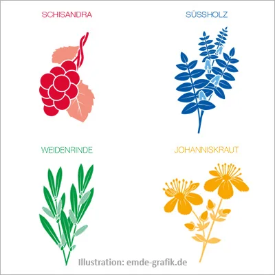 Vignettes of stylized medicinal plants for a cosmetic product