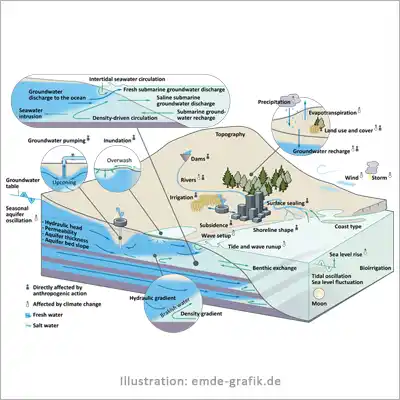 Hydrogeologie: Küstenaher Grundwasser-Austausch